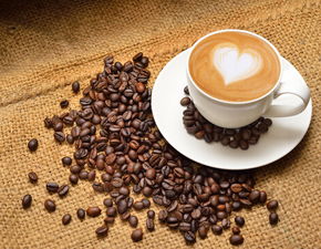 茉莉cafe加盟多扶持 開店無后顧之憂